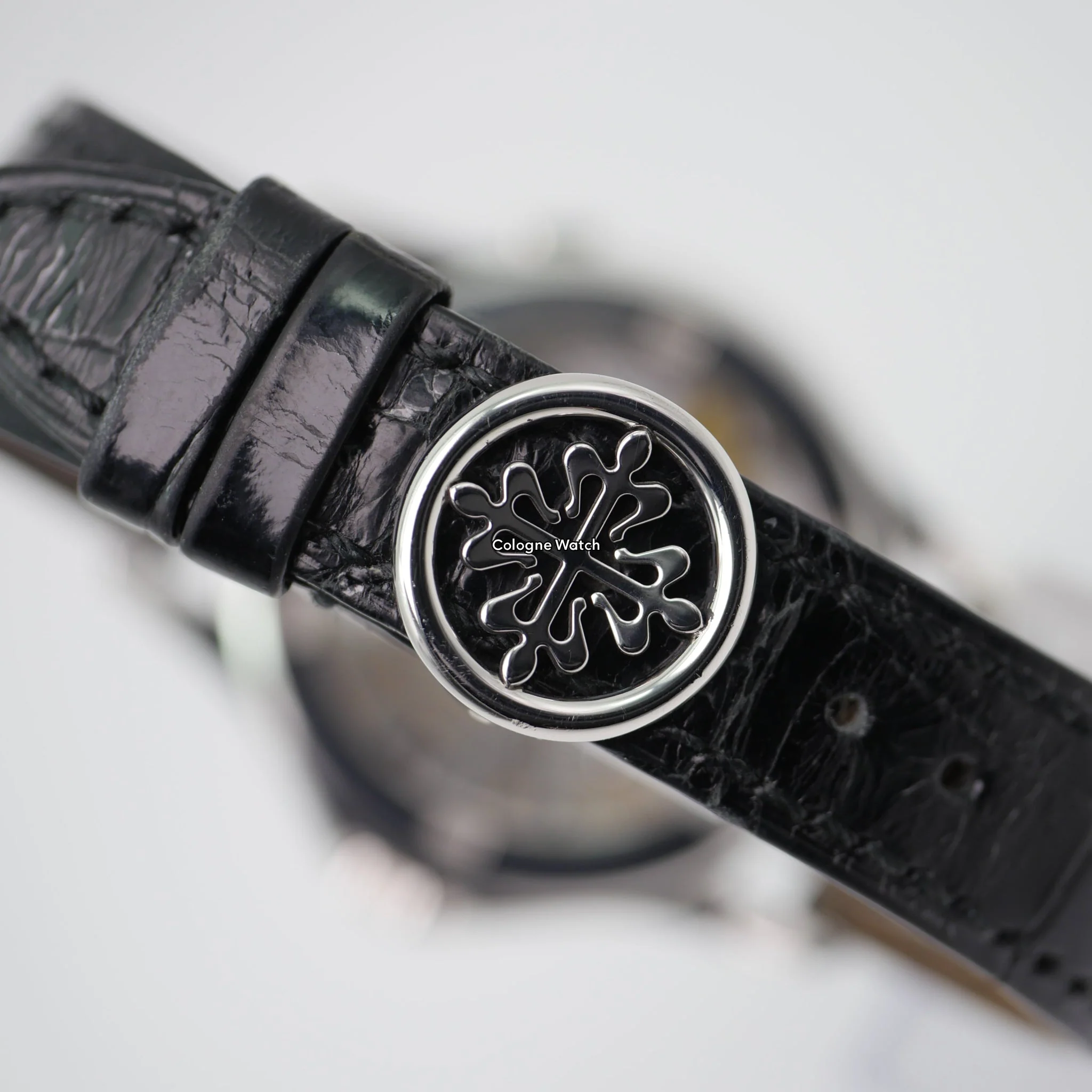 Patek Philippe World Time Platin 5110P-001 - Only Watch - Image 6